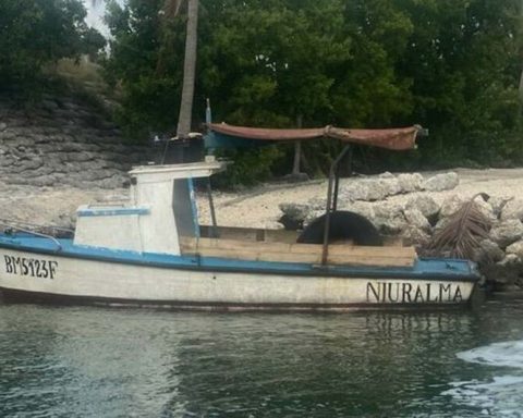 18 Cuban rafters arrested when making landfall in the Florida Keys