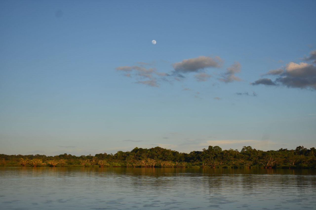 Cuyabeno is the only 'safe travel' destination in the Ecuadorian Amazon