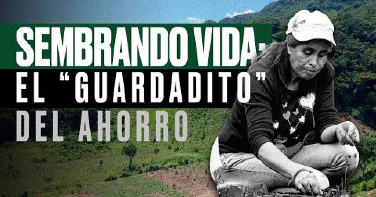 Sembrando Vida, the program for the Mexican countryside that sows opacity and doubts