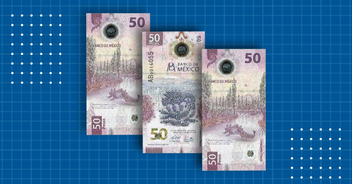 The axolotl arrives at the new 50 peso bill