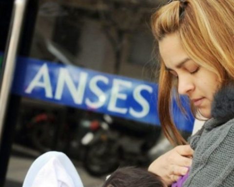 ANSES: how is the payment schedule for next week