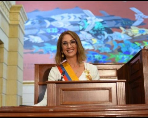 Otro escándalo por plagio en tesis de un congresista colombiano, a Jennifer Arias le piden que renuncie