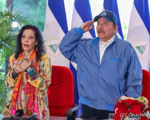 CSE report proclaims Ortega for fourth term, after electoral farce without competition