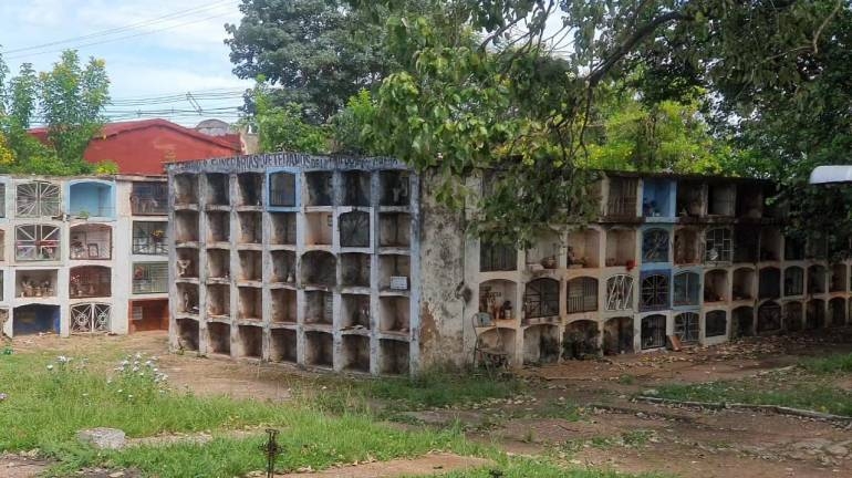 Concepción cemetery closed due to invasion of bees