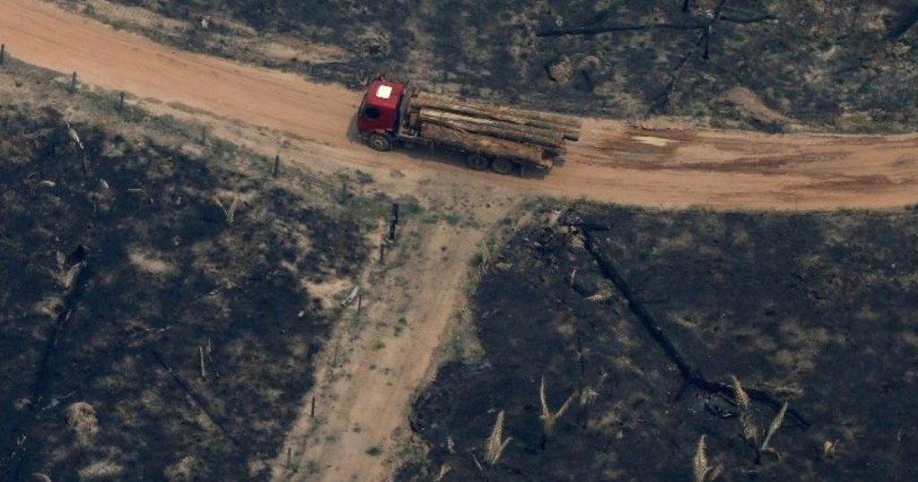 Deforestation in the Brazilian Amazon shoots up to a 15-year high