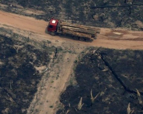 Deforestation in the Brazilian Amazon shoots up to a 15-year high