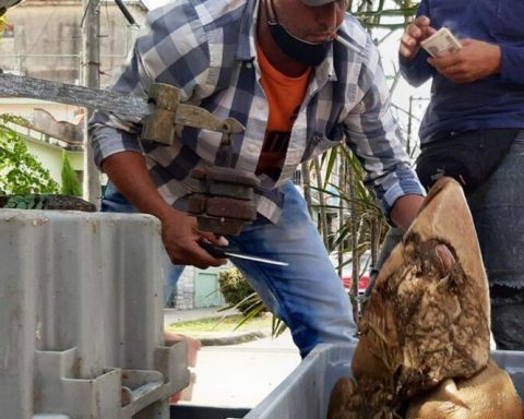 Desperate Cubans crowd to buy picadillo and beef belly