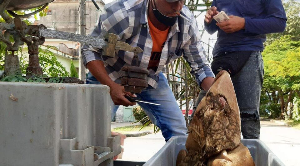 Desperate Cubans crowd to buy picadillo and beef belly