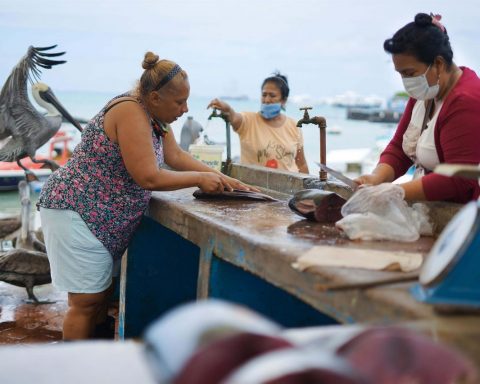 Galapagos is a global example of seafood systems