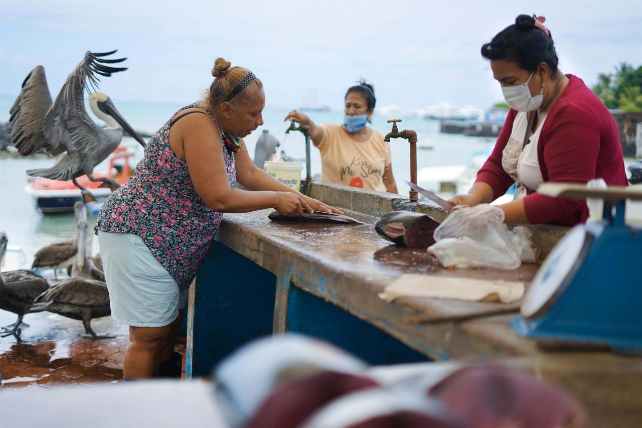 Galapagos is a global example of seafood systems