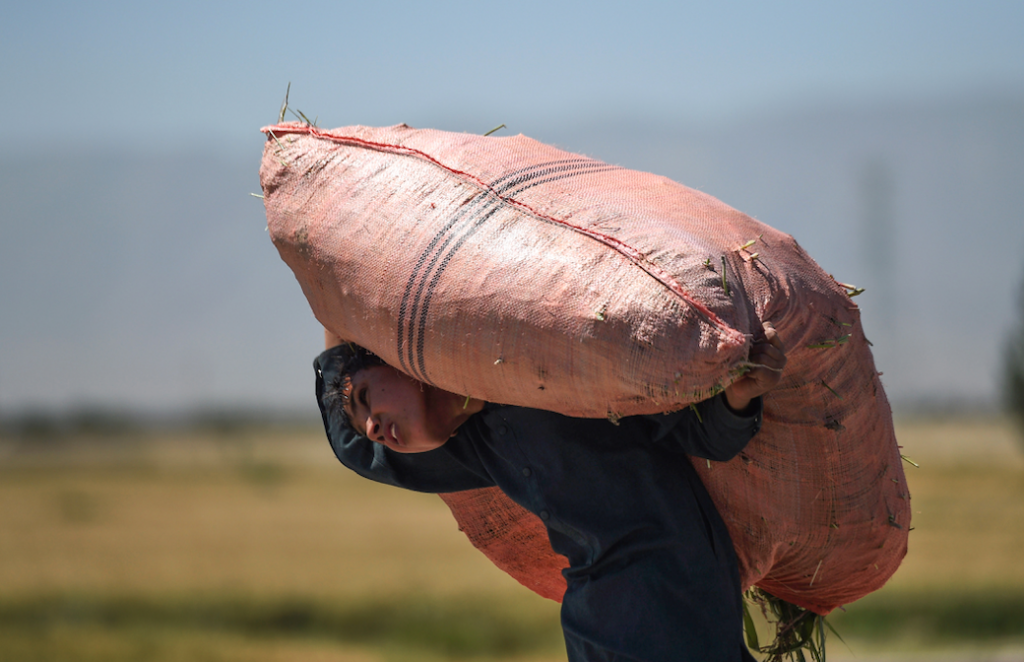 In Mosquera, Cundinamarca, they sign an agreement against child labor