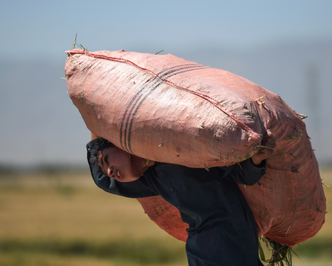 In Mosquera, Cundinamarca, they sign an agreement against child labor