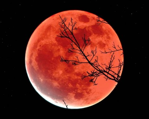 Lunar eclipse: at what time can the longest astronomical phenomenon of the century be seen