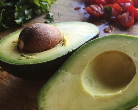 Mexico negotiates with the US to expand avocado exports