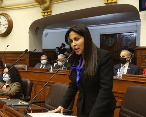 Patricia Chirinos asked the Plenary for signatures for a vacancy motion against Pedro Castillo