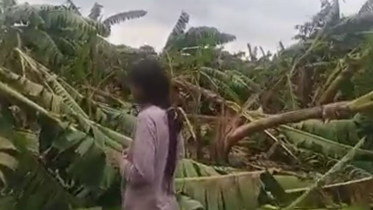 Strong winds and rain cause destruction and panic in the Chapare (VIDEO)