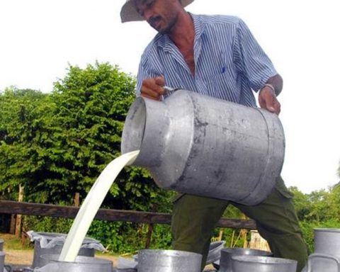 The Government raises the payment per liter of milk in an attempt to increase production