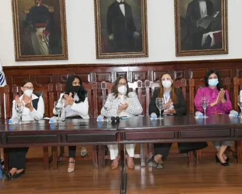 Ministerio de la Mujer llevará campaña contra la violencia de género a Santiago