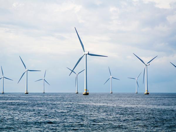 The Nation prepares the roadmap for wind plants in the 'offshore'