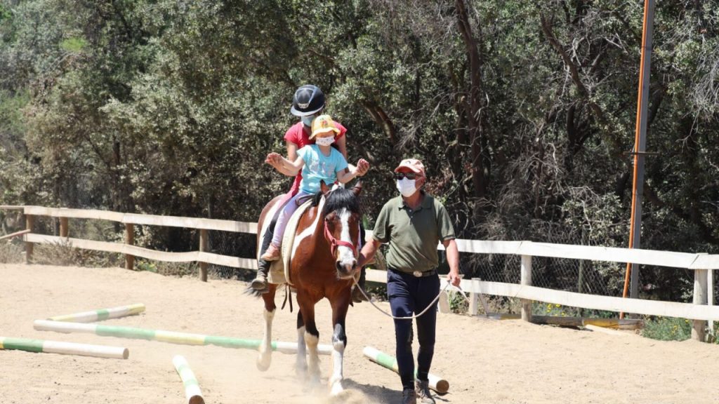 Boys and girls from Florida access hippotherapy sessions and enhance their psychosocial skills