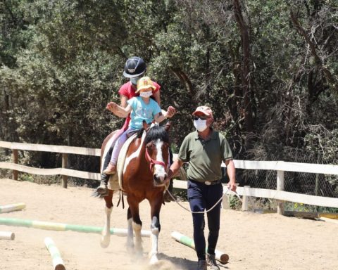 Boys and girls from Florida access hippotherapy sessions and enhance their psychosocial skills