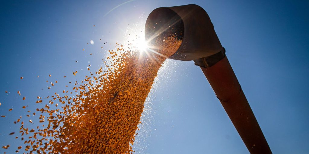 Conab: grain harvest could reach 291.1 million tons