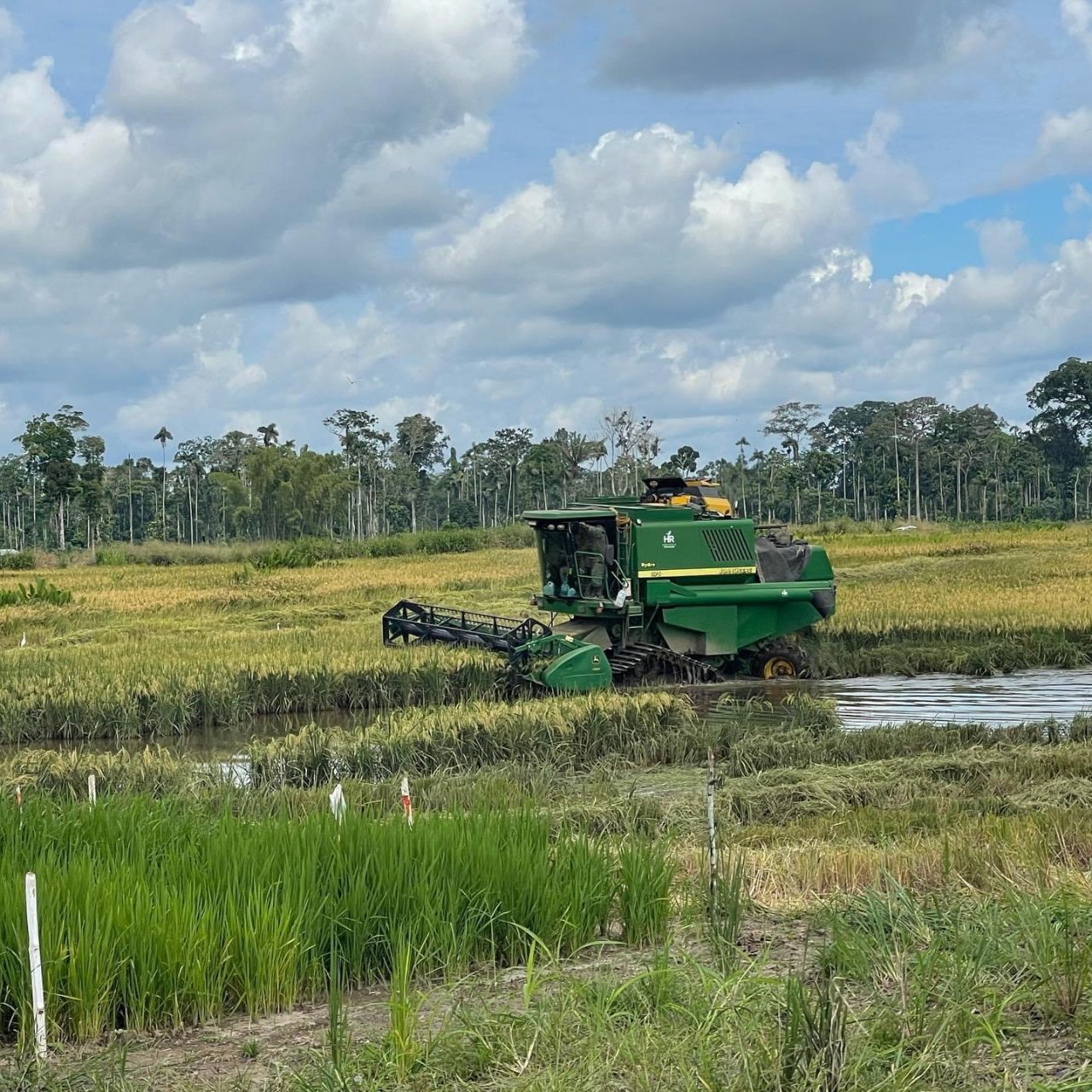 Credits reach less than 10% of small and medium agricultural producers