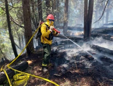 Fight without respite to the forest fire near Lake Steffen