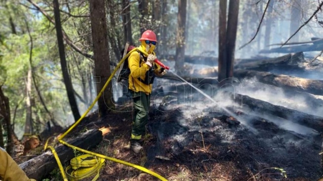 Fight without respite to the forest fire near Lake Steffen