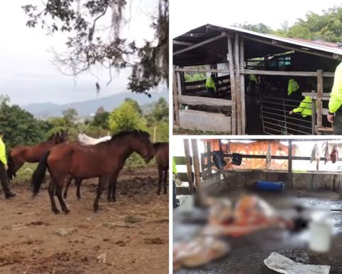 zona rural de Pereira