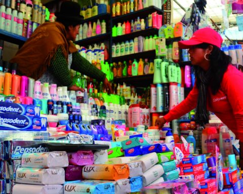 Inflation rises in neighbors, but fixed dollar slows down effect in Bolivia