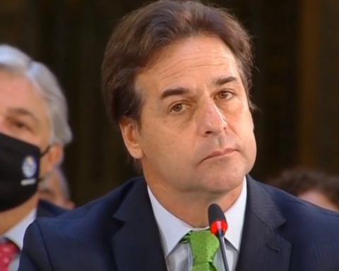 Lacalle will veto Open Council project on forestry because it is not in the government plan