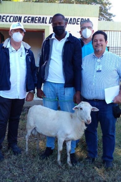 Ganadería entrega ovejas a asociaciones