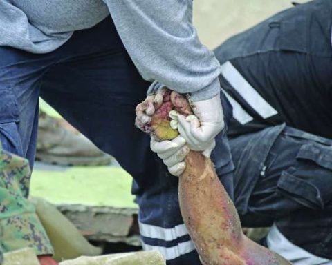 Sismo. El 16 de abril de 2016 un terremoto sacudió a Manabí. El movimiento dejó cientos de muertos y generó daños en la infraestructura de la provincia.