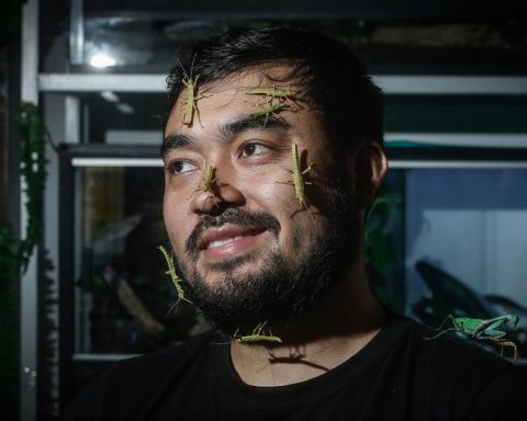 Moisés Paredes, the young mantis breeder