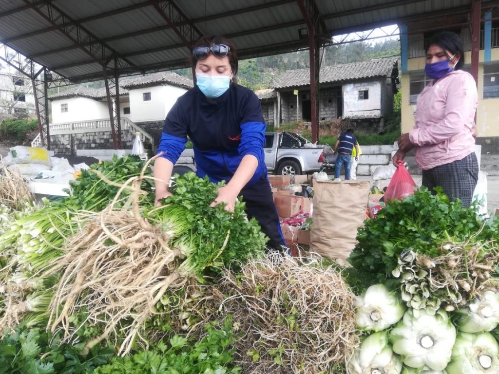 Se establece la categoría de negocio popular, con un pago fijo de $60 anuales si las ventas no superan los $20.000.