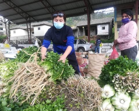 Se establece la categoría de negocio popular, con un pago fijo de $60 anuales si las ventas no superan los $20.000.