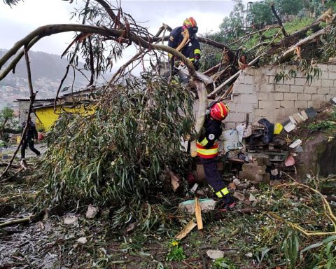 Un árbol cayó sobre una vivienda en El Panecillo