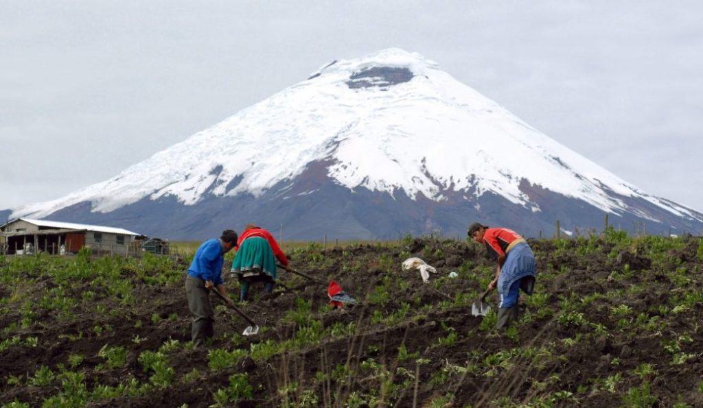 Rural sector says more than $ 6.6 billion is at risk