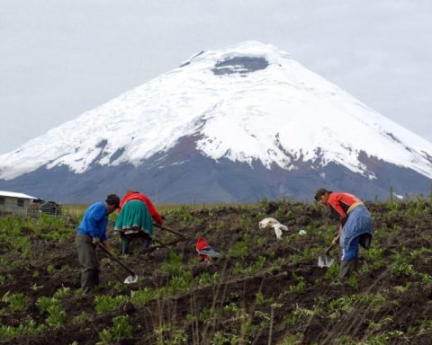 Rural sector says more than $ 6.6 billion is at risk