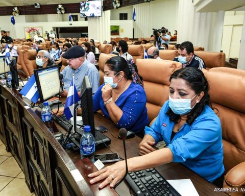 diputados Asamblea Nacional