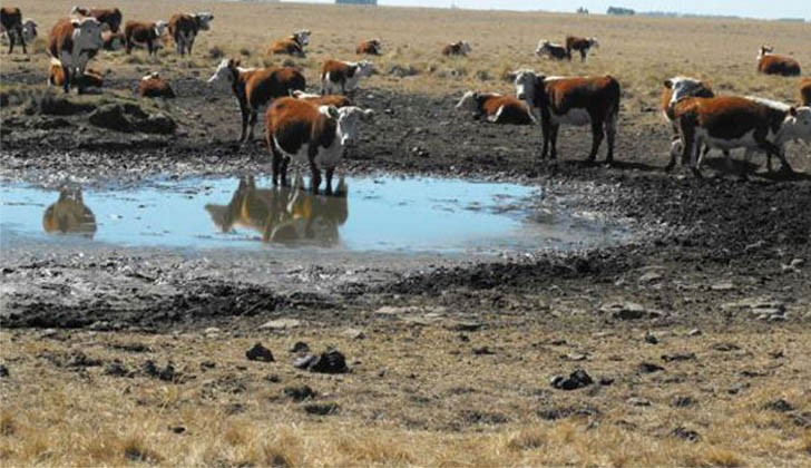 They declare a state of agricultural emergency due to drought throughout the national territory