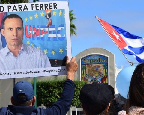 They denounce greater physical and psychological torture against José Daniel Ferrer