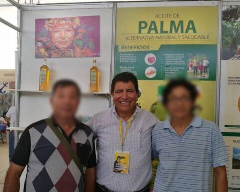 Another attendee at an appointment between Pedro Castillo and Samir Abudayeh also arrived in Petroperú