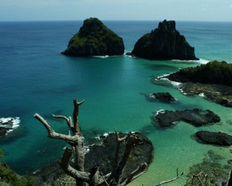 Beach in Fernando de Noronha remains closed after shark attack