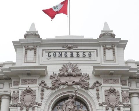 Congressmen elected by Peruvians abroad will have 7 calendar days of representation week