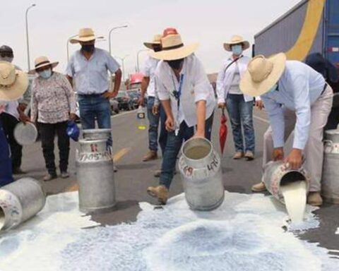 Dairy farmers announce national strike and will carry out mobilization this Wednesday, February 2