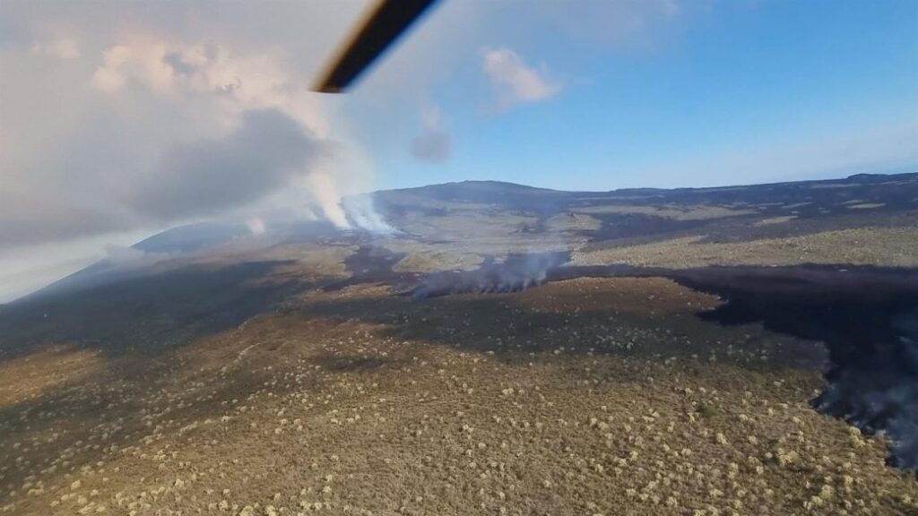 Eruption in Galapagos does not affect the animal population