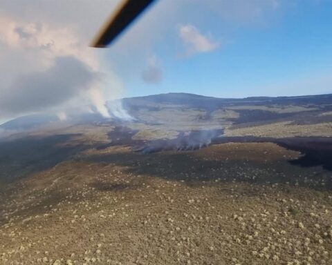 Eruption in Galapagos does not affect the animal population