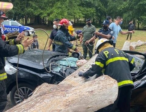 Ezeiza firefighters rescued a person from a car crushed by a tree